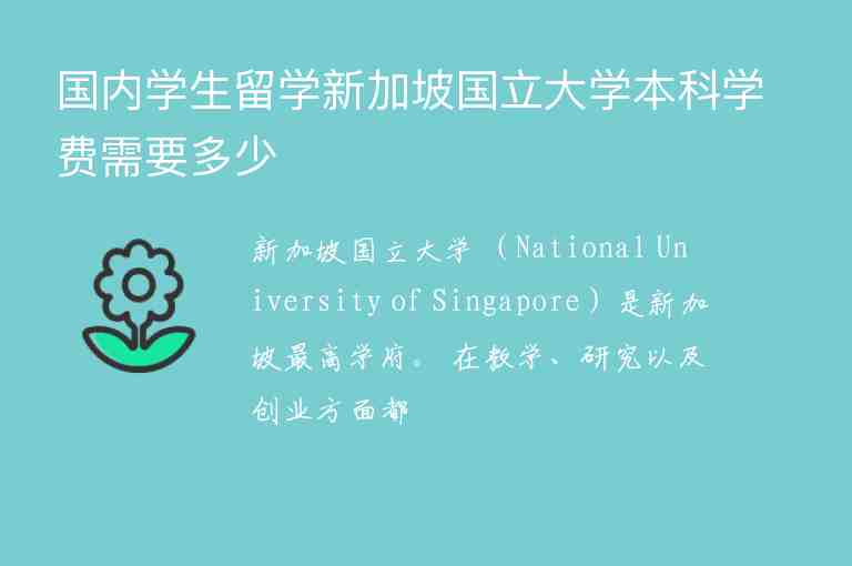 国内学生留学新加坡国立大学本科学费需要多少