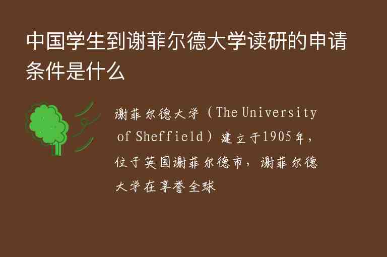 中国学生到谢菲尔德大学读研的申请条件是什么